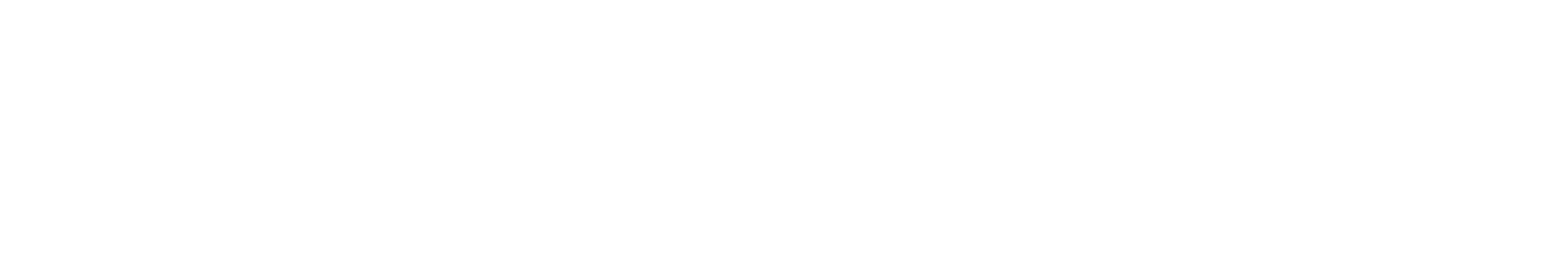 Logotipo FINDOIT-blanco-scaled