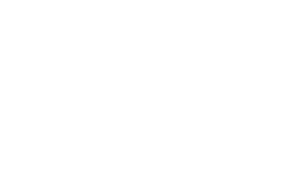 Logotipo bull Performanze