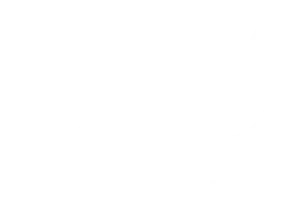 Logotipo Doers-OntPartners-blanco-300x208