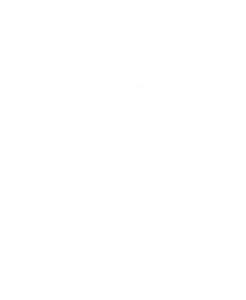 Logotipo Hacking-Ecology-Blanco-246x300